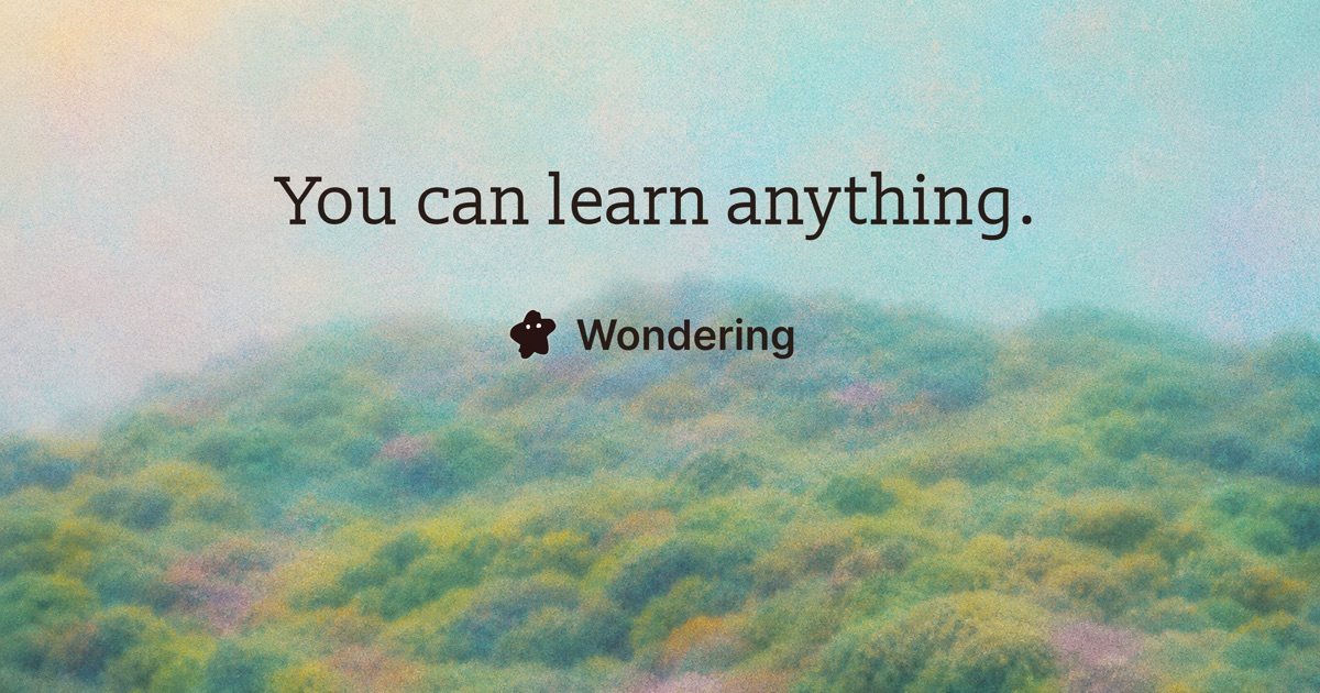 wondering.app image